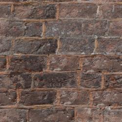 Seamless Textures of Wall Bricks + Normal & Bump Mapping